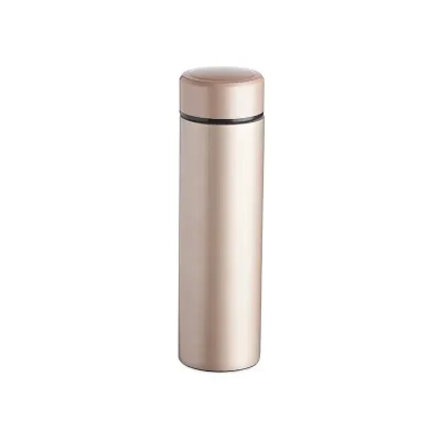 Garrafa Termica 500ml Personalizada Lnr18705