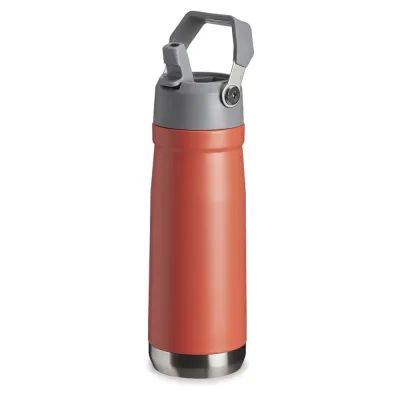 Garrafa Termica 650ml