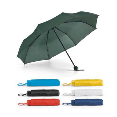 GUARDA CHUVA