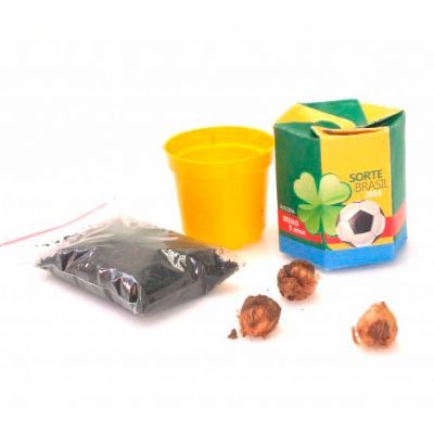 Kit da sorte box