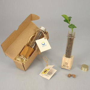 Kit ecológico