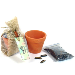 Kit Jardinagem