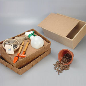 Kit Jardinagem Com Pulverizador Estojo Mdf e Berco