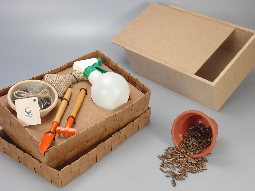Kit Jardinagem Flam