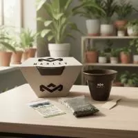 Kit Planta Personalizado