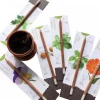 Lapis Semente Ecologico Personalizados