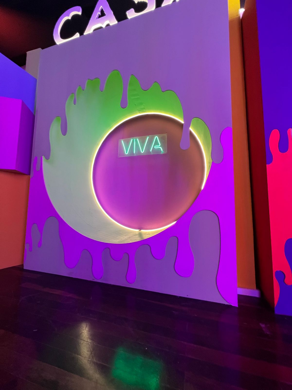 Led neon personalizado viva