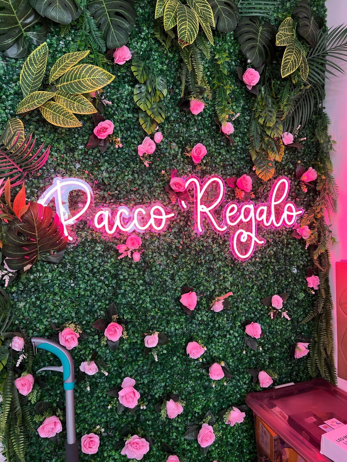Letreiro de LED Neon Pacco Regalo
