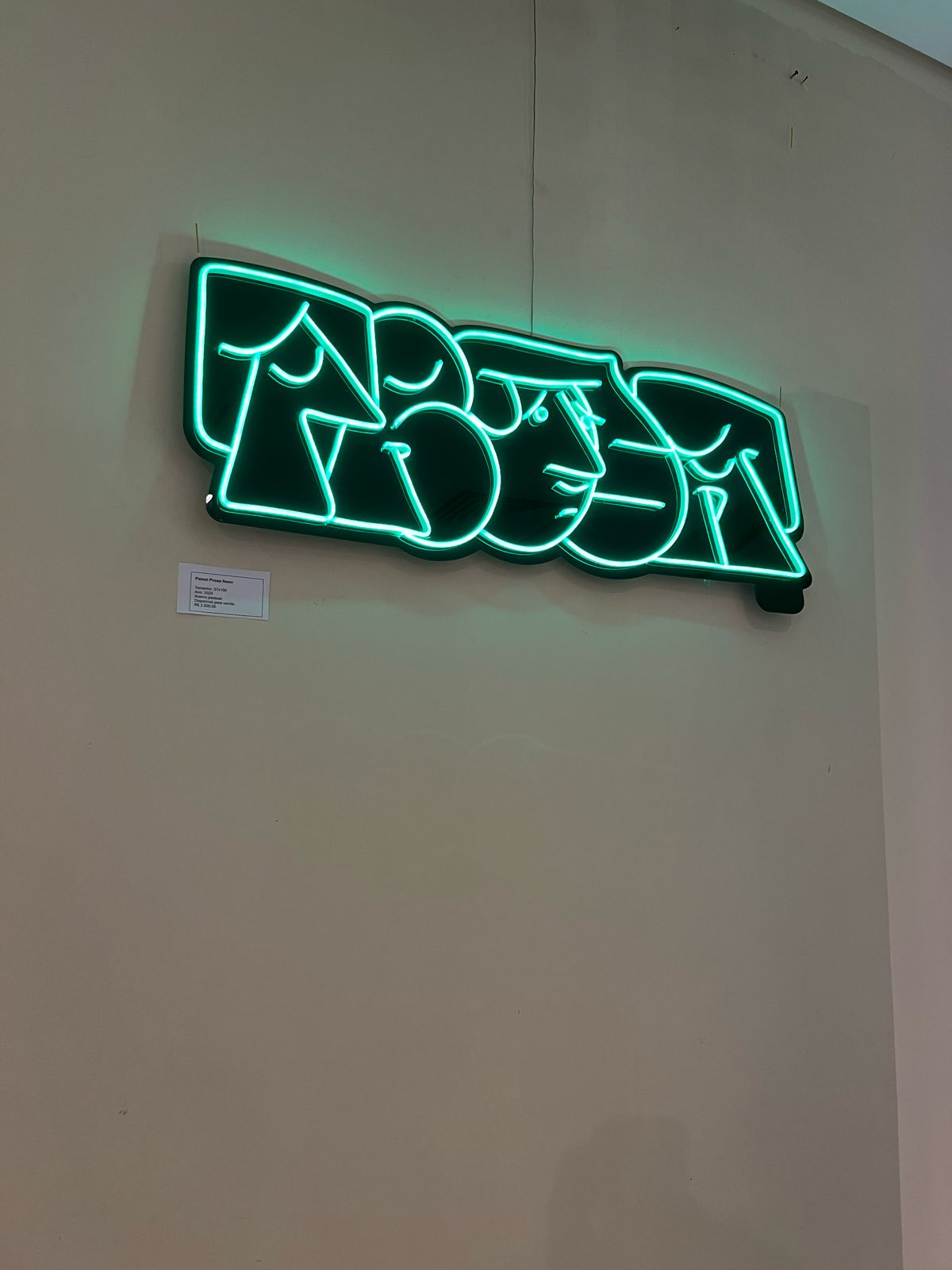 Letreiro em LED Neon para Projetos Artísticos