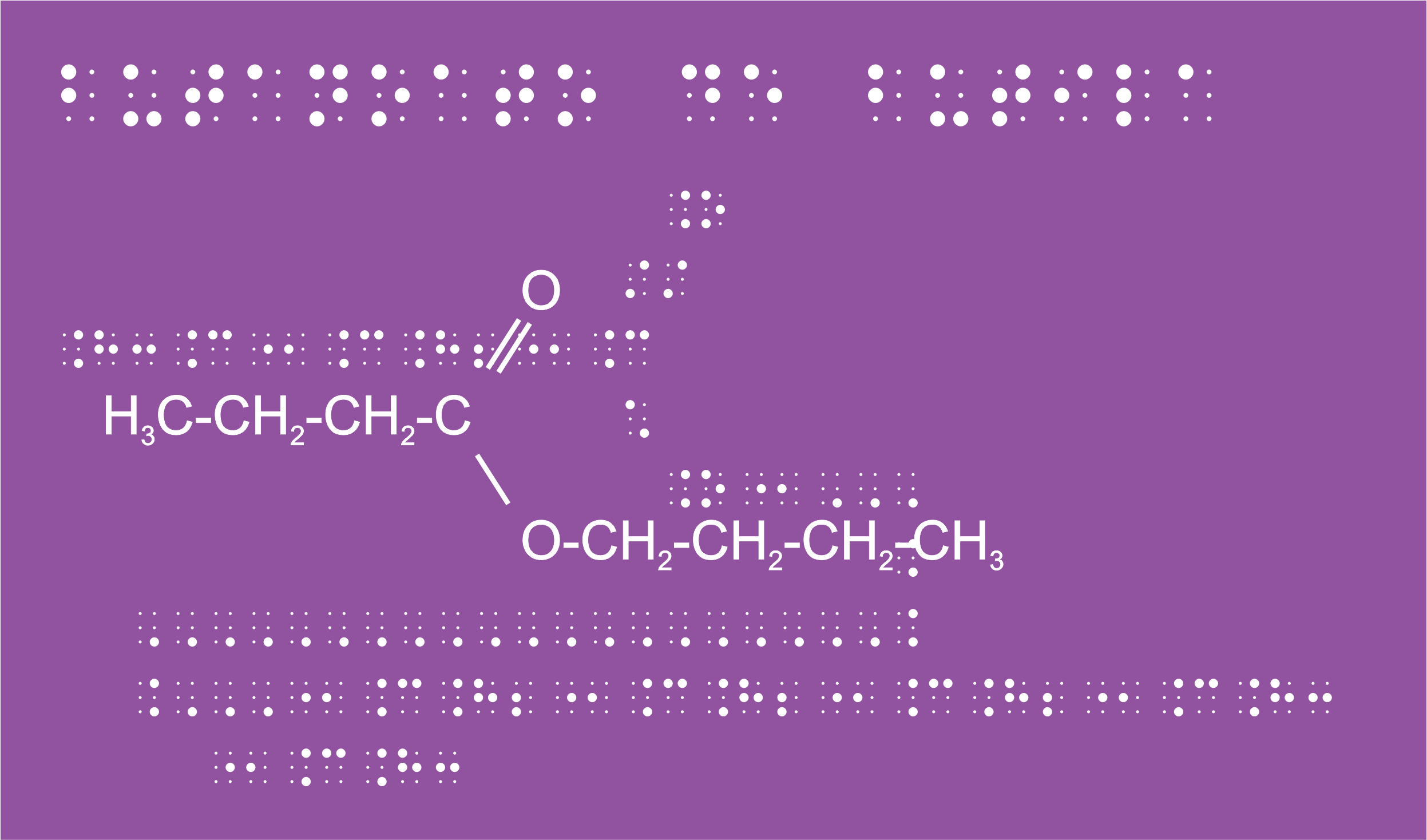 Livros de Química em braille