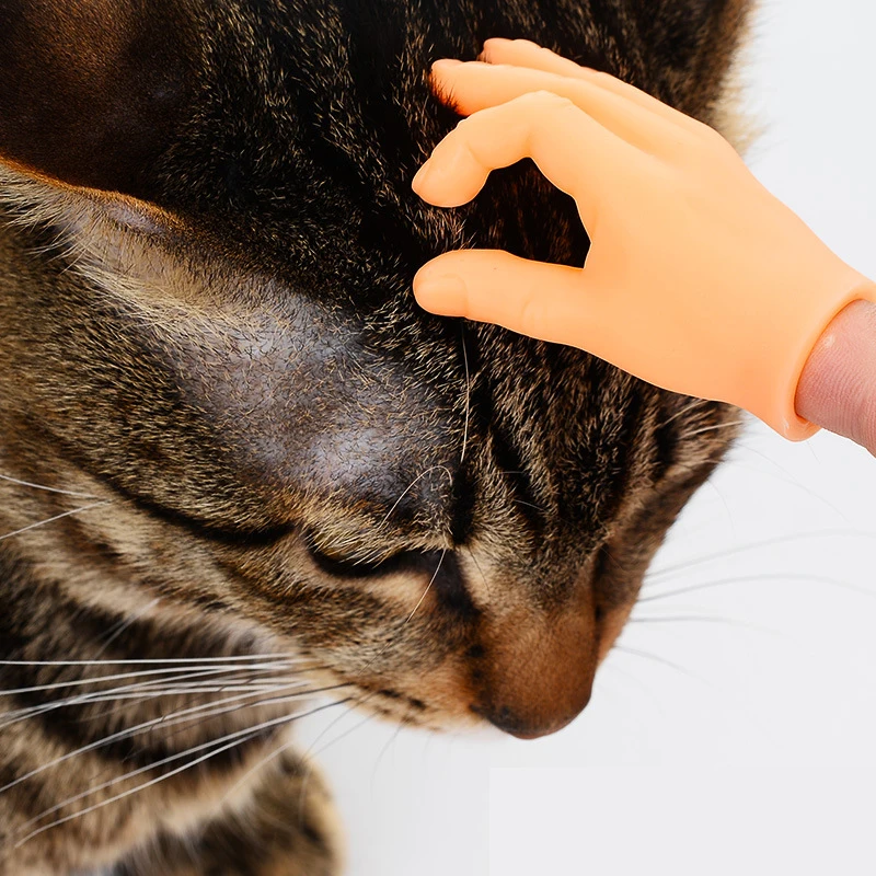 Luvas de Plástico para Brincar com Gatos e Cachorros - Mão Humana Falsa para Interação Divertida e Cuidados com Pets