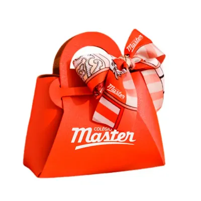 Mini Bolsa Bag Premium Encaixe Facil Com Laco
