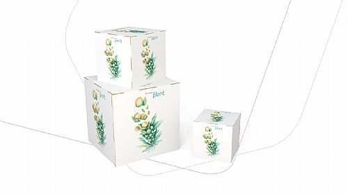 Cubos e Modulares para PDV — foto 3