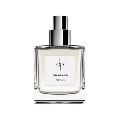 Perfume de ambiente (Home Spray) 100ml em frasco cubo