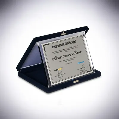 Placa de Homenagem de Acrílico para a Panasonic