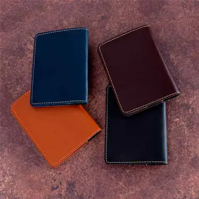 Porta Passaporte Bidins em Material Sintetico 14x10cm Preto