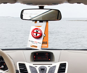 Display De Retrovisor Couchê 275g
