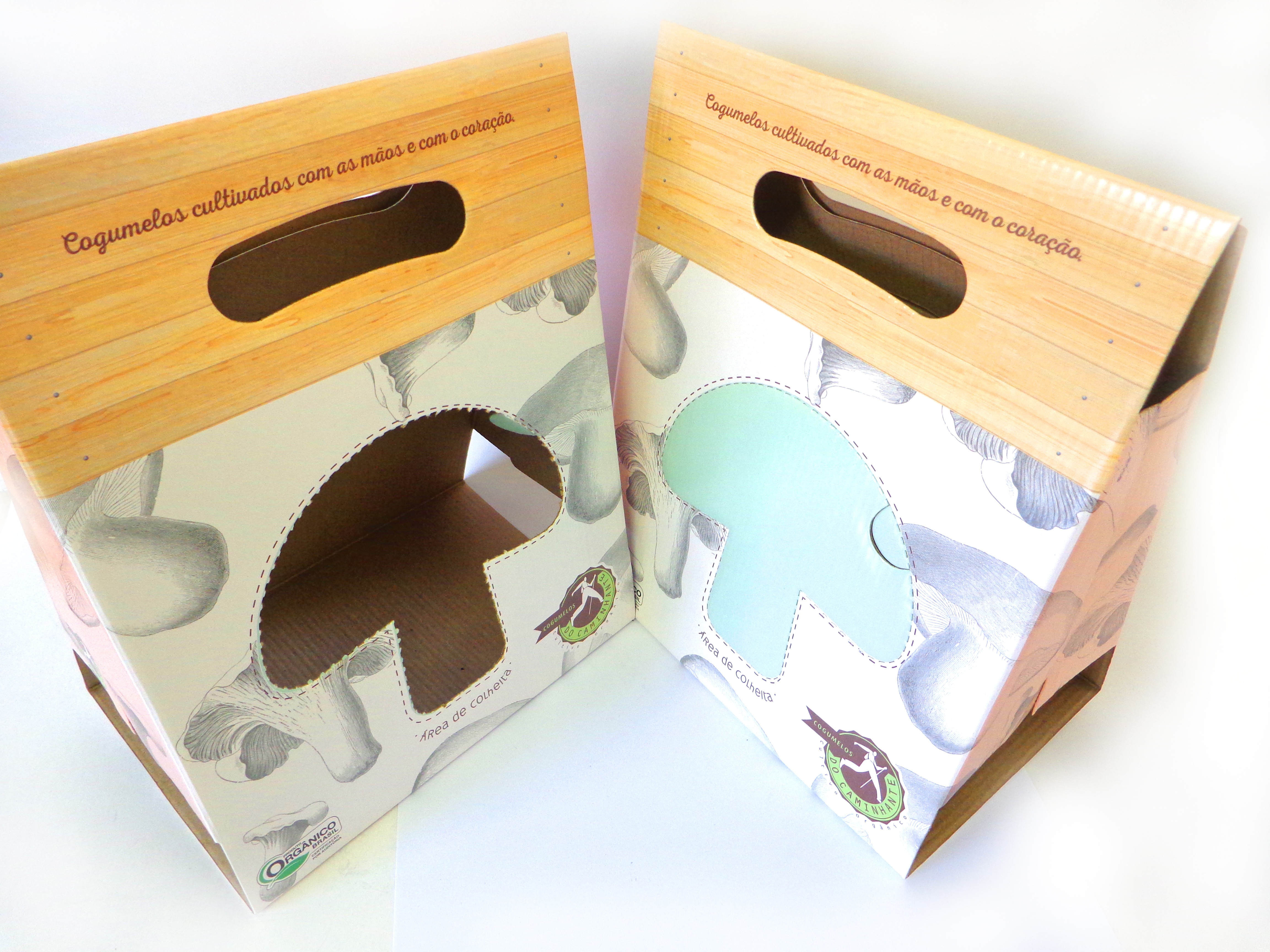 Caixas com visor personalizadas — foto 2