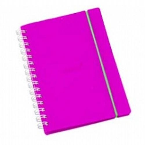 Agenda padrão diaria wire-o PP
