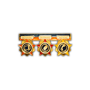 Pin personalizado confeccionado em metal