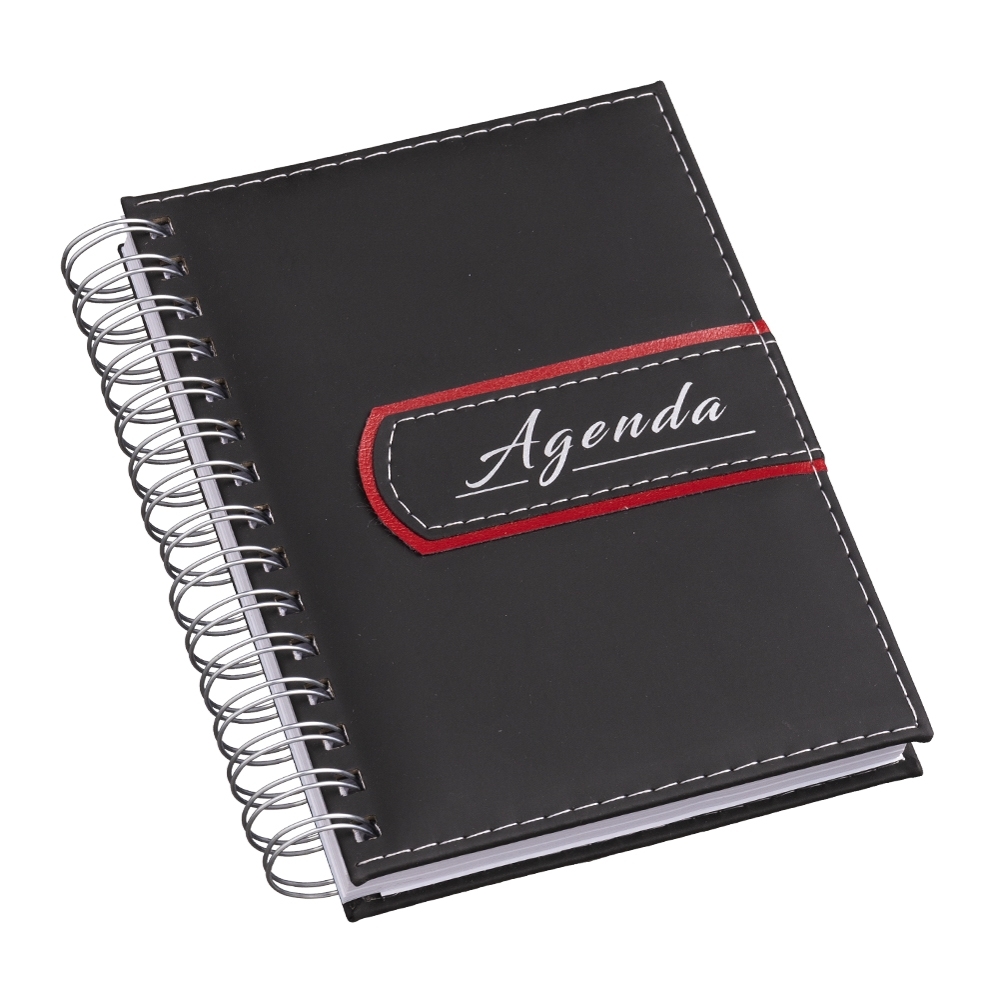 agenda diária 2024 wire-o