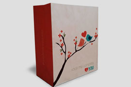 Sacos de Papel Kraft Personalizado