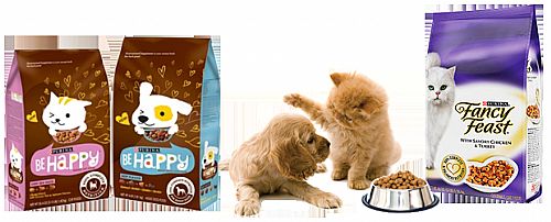 Embalagem para Ração de Animais Personalizada
