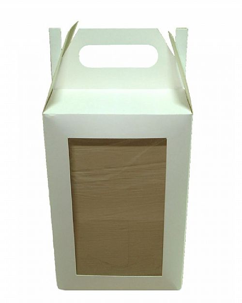 Caixa Maleta Com Visor Frontal