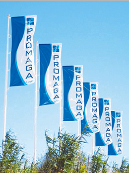 Mastro com bandeira personalizada — foto 5