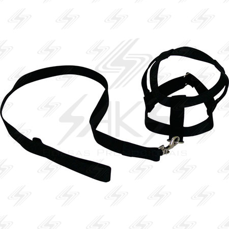 Coleira de cachorro personalizada