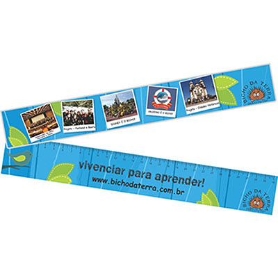 Regua de 30 cm Colorida Personalizada