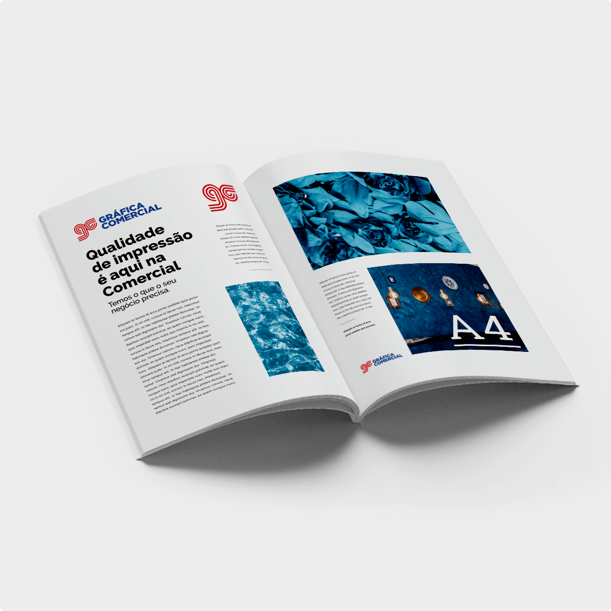 Revistas