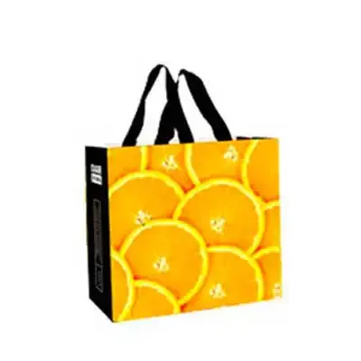 Sacola de Compras Com Alcas em Diversas Cores