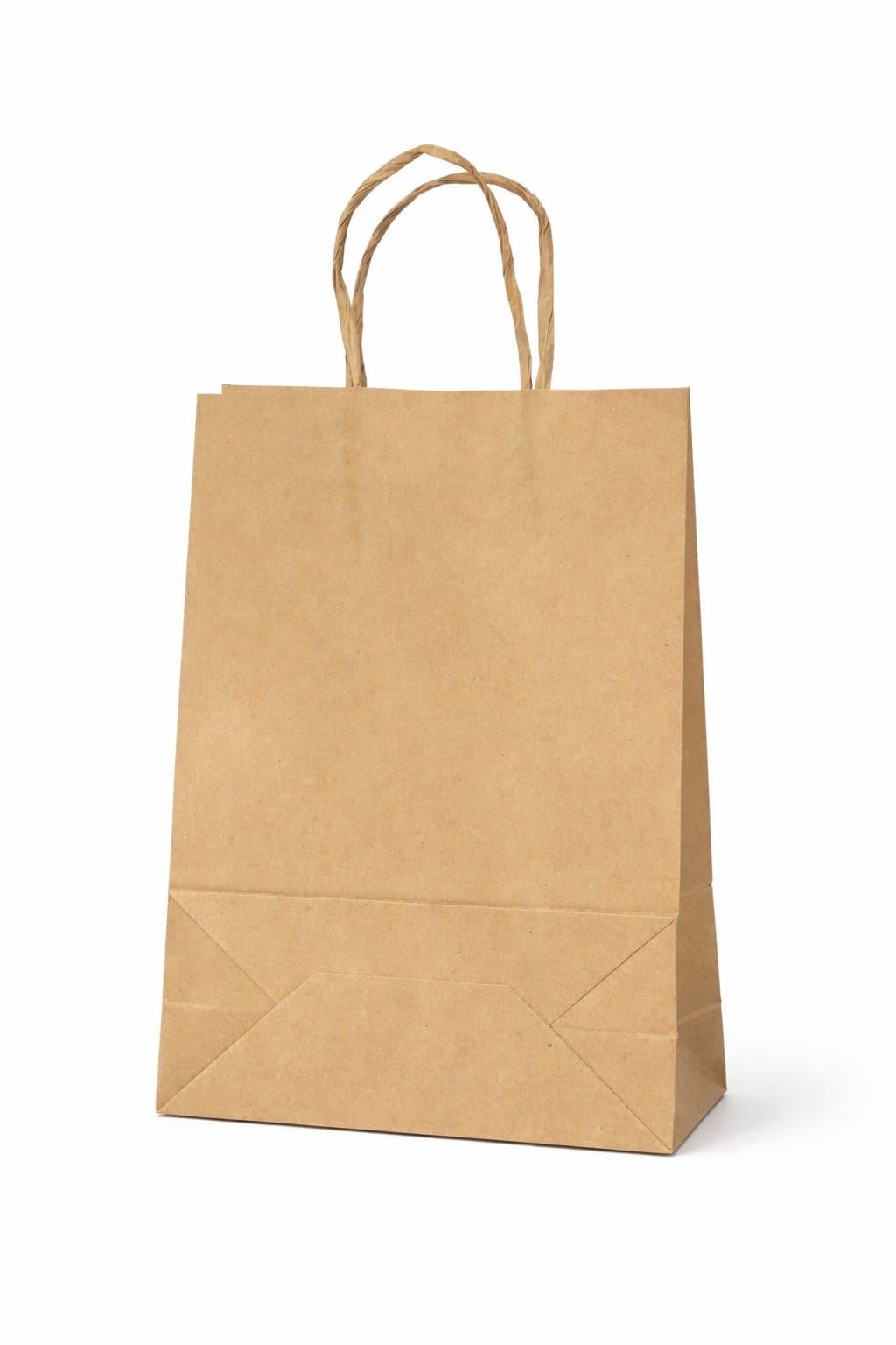 Sacola Kraft 16X22X8 PPP - 100 unid 10 unid