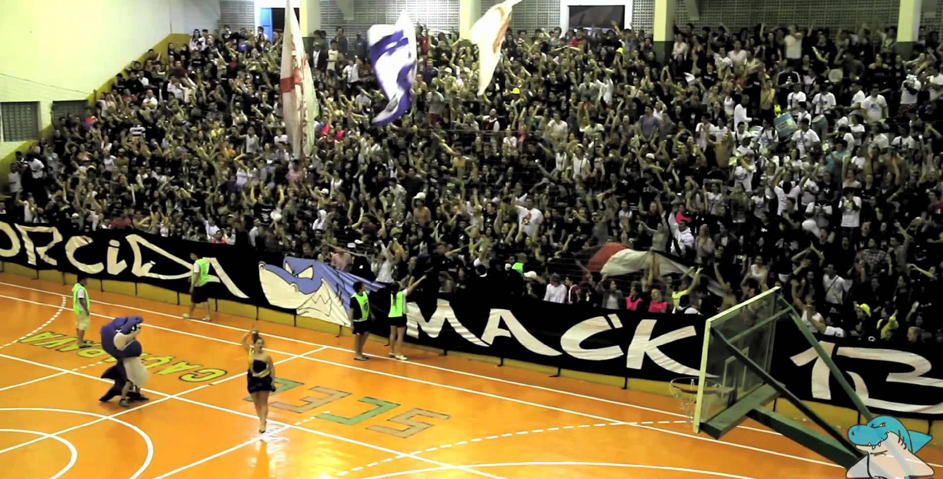 Bandeiras para politica — foto 2