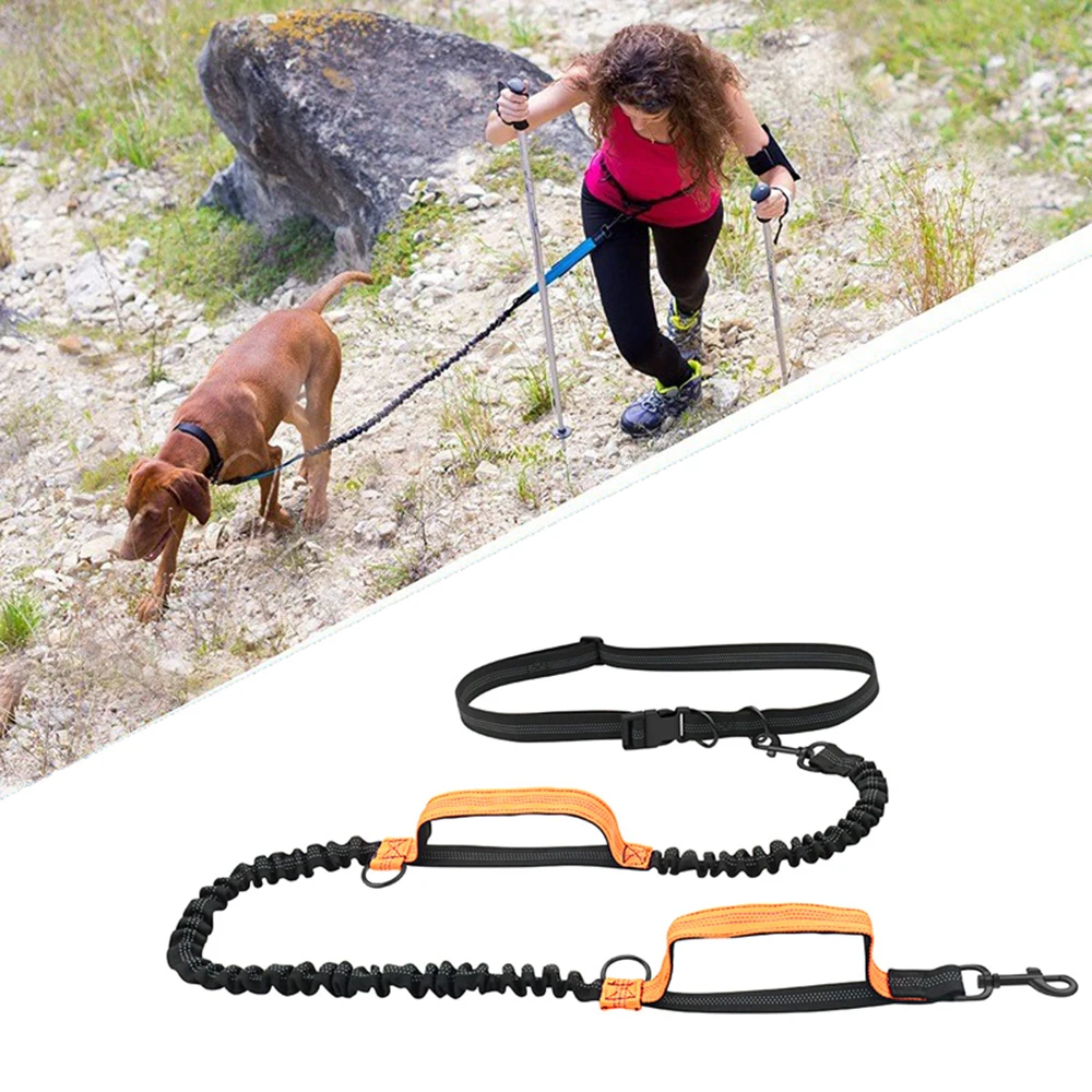 Trela Retrátil Mãos Livres para Cães com Alças Duplas e Cabo Elástico Reflexivo - Ideal para Corridas e Passeios