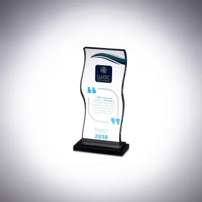 Troféu de acrílico WDC Networks