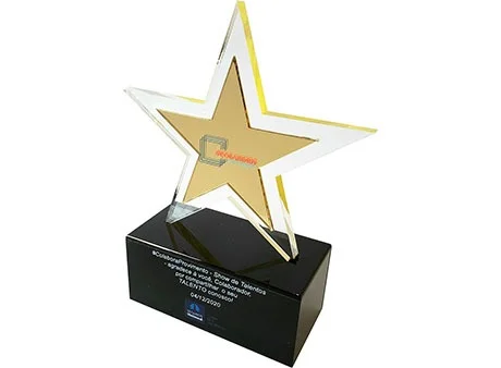 Troféu em Acrílico Personalizado