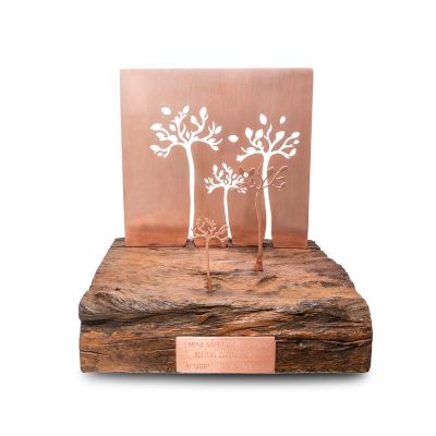 Troféu empresário do ano