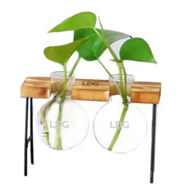 Vasos de Vidro Para Planta Personalizados
